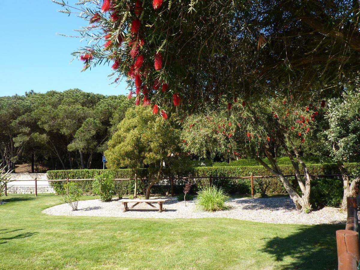 Apartamento Moura - Praia D'El Rey Golf, Surf & Beach Resort Praia del Rei Zewnętrze zdjęcie